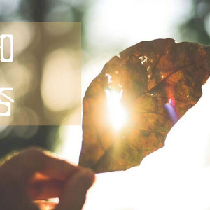 午夜福利温泉下的母孑
