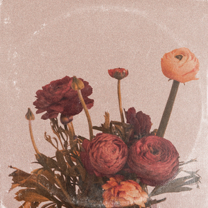 午夜福利温泉下的母孑
