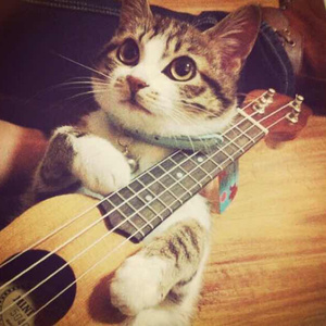 午夜福利温泉下的母孑
